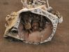 Manual 5 speed gearbox 