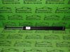 Tailgate/trunk strut/damper 8200021974