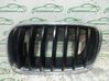 Front grill 7171395