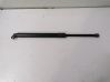 Tailgate/trunk strut/damper 8222913