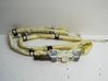 Roof airbag 3T5880741