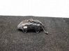 Caliper de freno delantero 4L0615106F