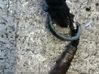 Lambda probe sensor 7512976