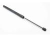 Tailgate/trunk strut/damper 8R0827552A