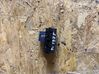 ESP (stability program) switch 96657752