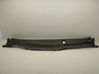Windshield trim CC29507S1