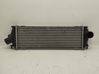 Radiador intercooler 820041160C
