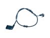 Rear ABS sensor wiring A2135403905