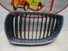 Front grill 