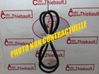 Rear door rubber seal (on body) 769240001R
