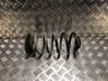 Rear coil spring 13276205