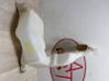 Windshield washer fluid reservoir/tank 8200146985