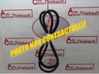 Rear door rubber seal (on body) 9813059680