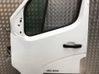 Front door 801017005R