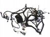 Mazo de cables 13356903