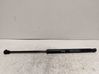 Tailgate/trunk strut/damper 112067