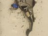 Pedal assembly 