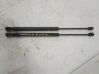 Tailgate/trunk strut/damper 