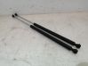 Tailgate/trunk strut/damper 