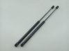 Tailgate/trunk strut/damper 