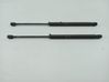 Tailgate/trunk strut/damper 