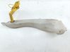 Windshield washer fluid reservoir/tank 