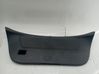 Tailgate/trunk/boot lid 