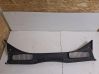 Moldura del limpia AM51R02216A
