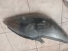 Headlight/headlamp 0077R00