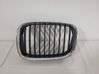 Front grill 8159311