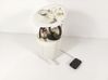 In-tank fuel pump FR3Z9H307A