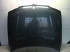 Motorhaube 41003449411