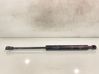 Front bonnet/hood damper/strut 51238202688