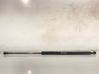 Tailgate/trunk strut/damper 51248232873