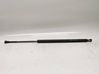 Tailgate/trunk strut/damper 51248402405