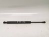 Tailgate/trunk strut/damper 51246254281