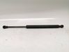 Tailgate/trunk strut/damper 8254281