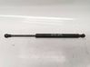 Tailgate/trunk strut/damper 