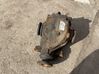 Rear differential 7500027