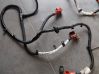 Engine installation wiring loom 789050