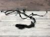Front door wiring loom 6925542