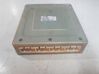 Unidad de control/módulo del motor L81318881H