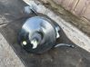 Wspomaganie hamulca A2124301030