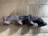 Exhaust manifold 7790219