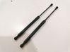 Tailgate/trunk strut/damper 