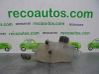 Fuel expansion tank 217100005R