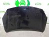 Engine bonnet/hood 651000024R