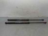 Tailgate/trunk strut/damper 50515442