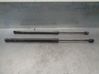 Tailgate/trunk strut/damper D65162620