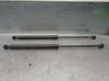 Tailgate/trunk strut/damper 904529943R